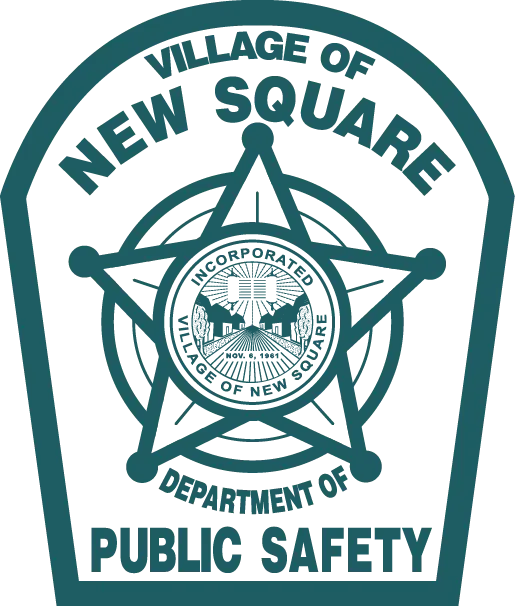 logo-public-safety